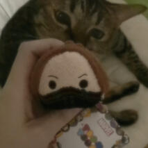 tsum tsum bucky!
